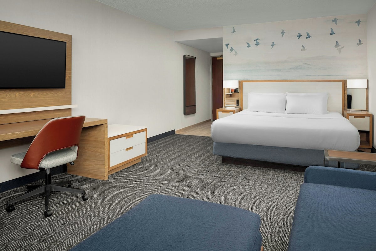A hotel room with a bed, a desk with a chair, a TV, and a wall with bird decals.
