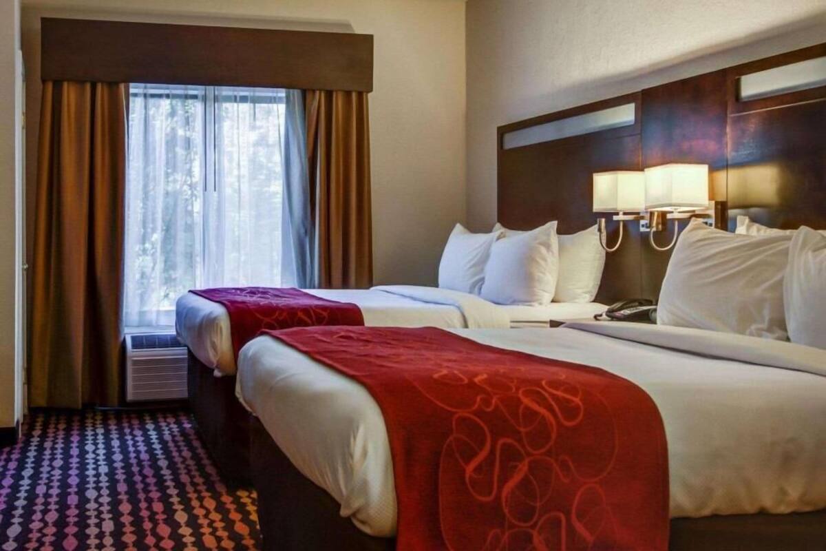 Een hotelkamer met twee bedden, een raam met gordijnen, een hoofdbord met lampen en een kamerbreed tapijt met een patroon.