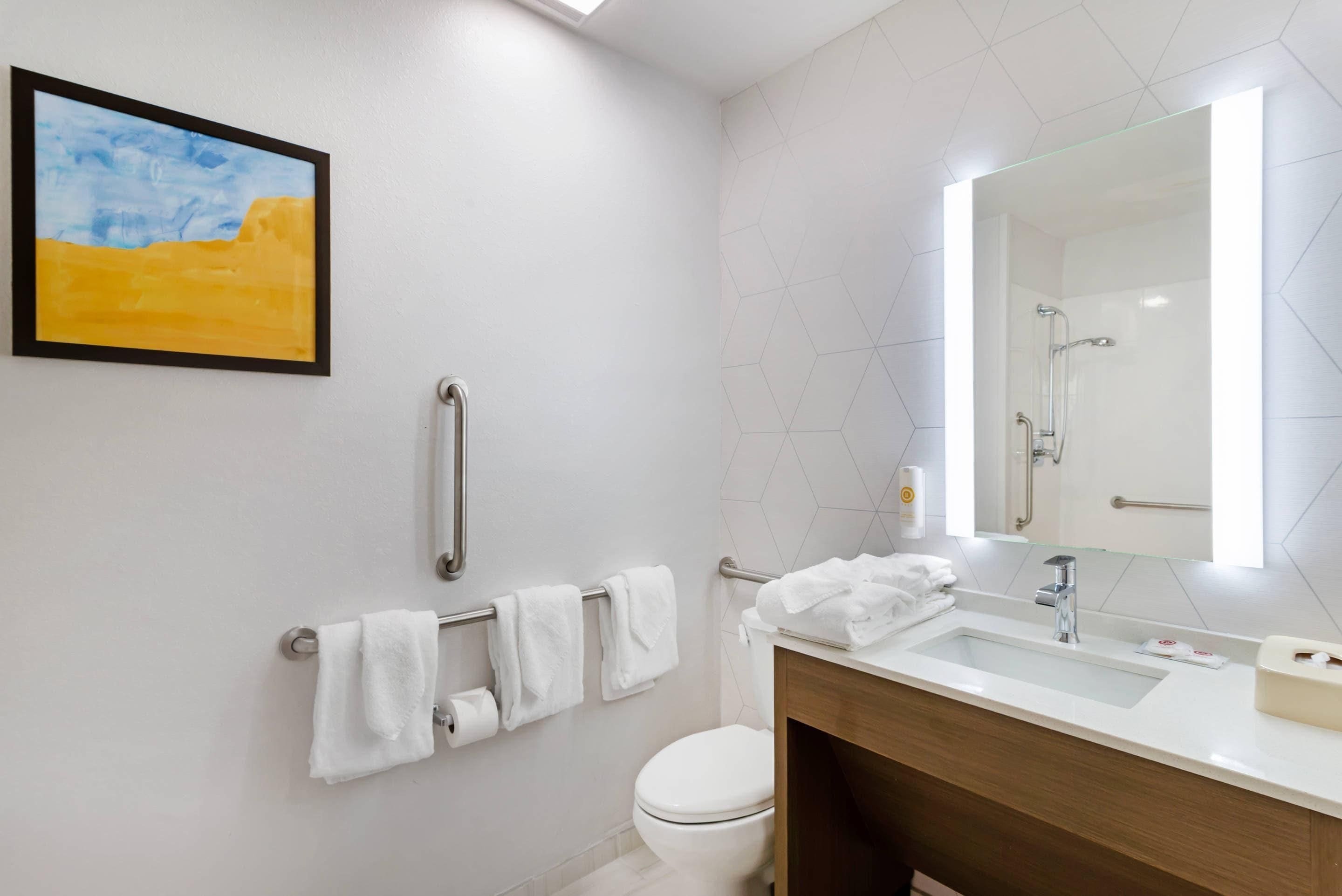 Un baño moderno con inodoro, lavamanos y ducha. Hay un pasamanos, un perchero y un cuadro en la pared.