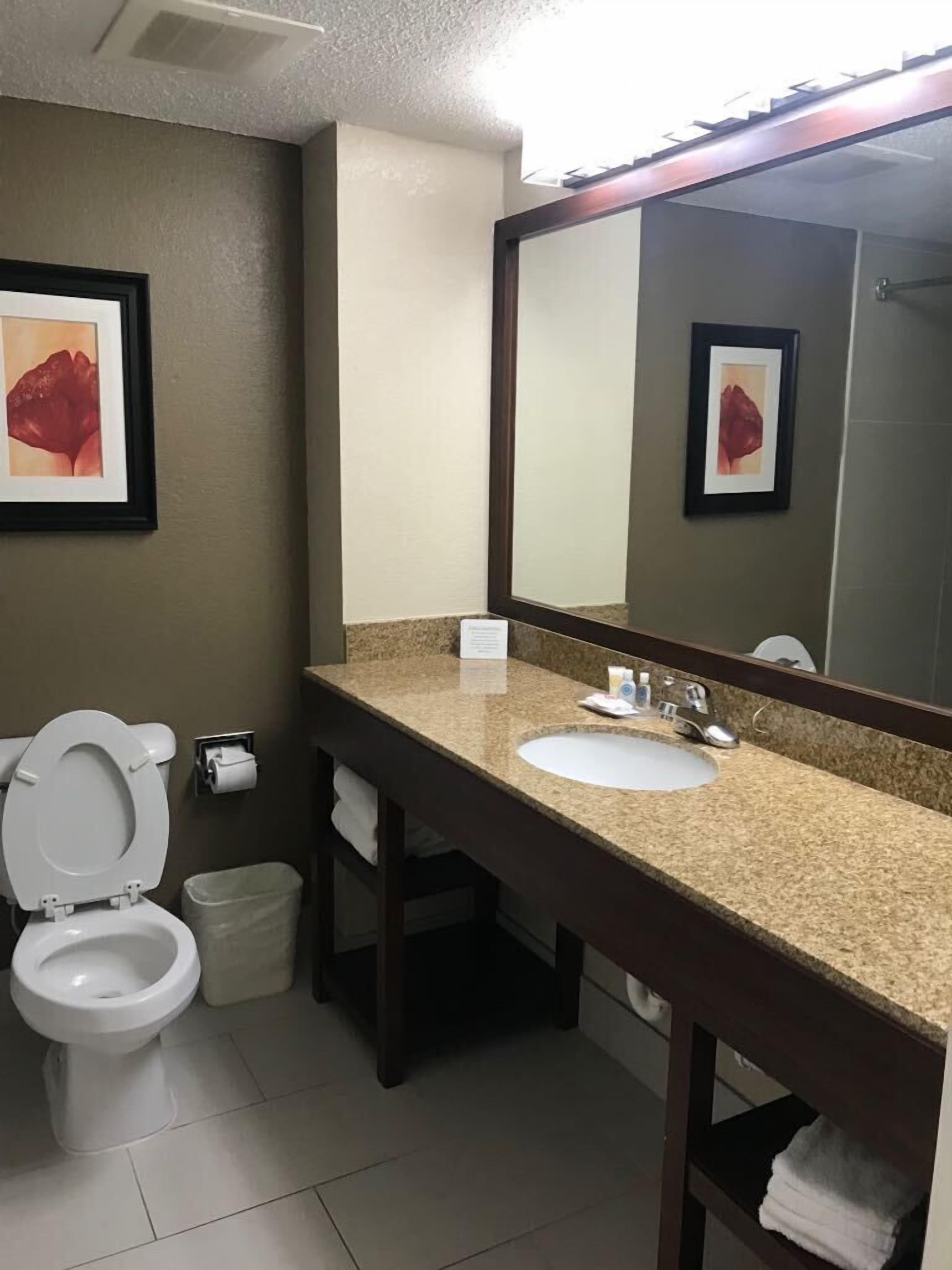 free toiletries, hair dryer, towels