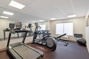 Ein Fitnessstudio mit Laufbändern, Crosstrainern und einer Hantelbank.