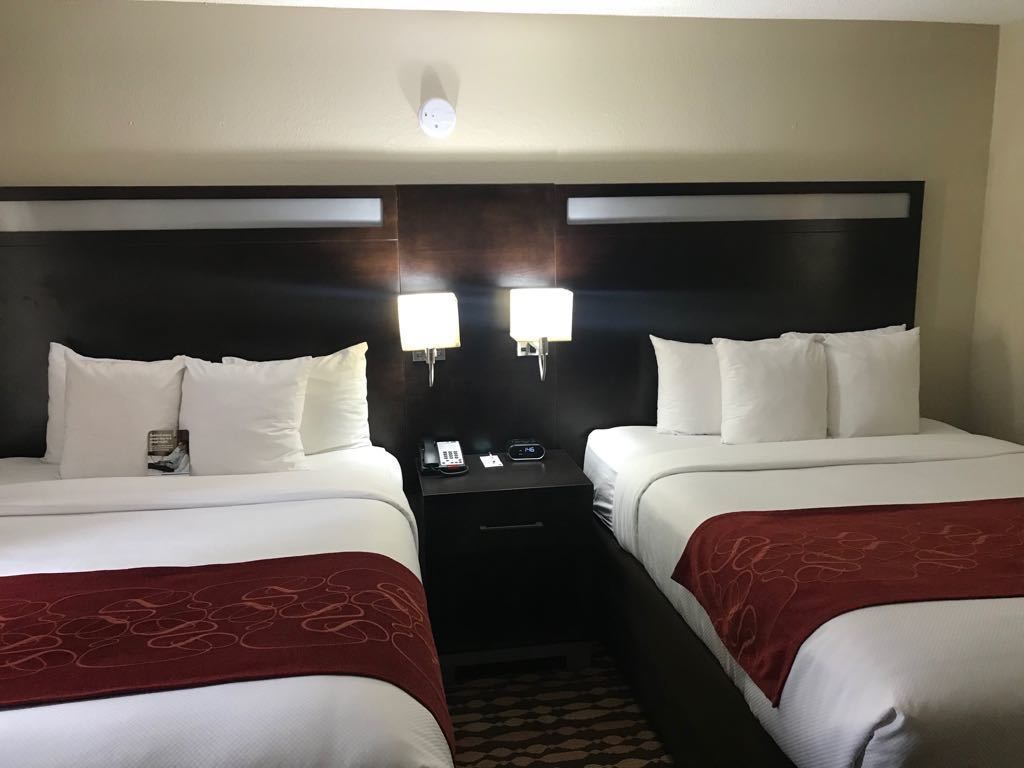 suite, 2 queen beds, non smoking | view from room