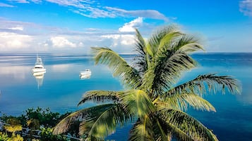 Beach/ocean view