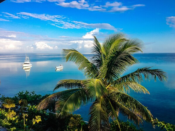 Beach/ocean view