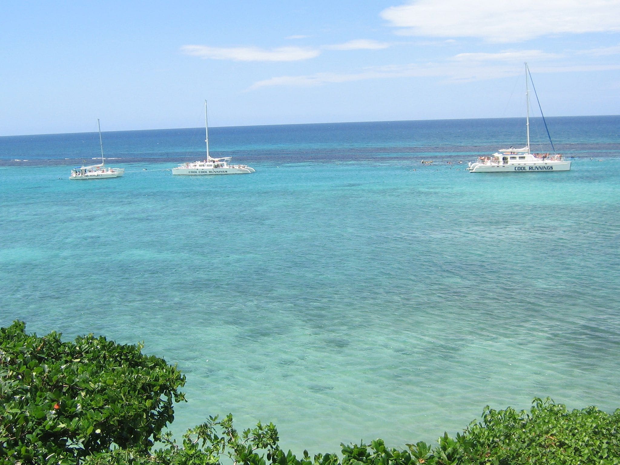 A clear view of the ocean with three sailboats named 'Cool Cool Runnings' and a lush green shoreline in the foreground.