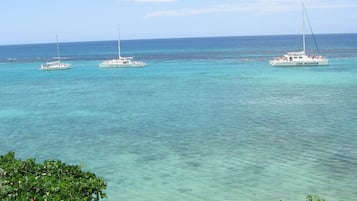A clear view of the ocean with three sailboats named 'Cool Cool Runnings' and a lush green shoreline in the foreground.