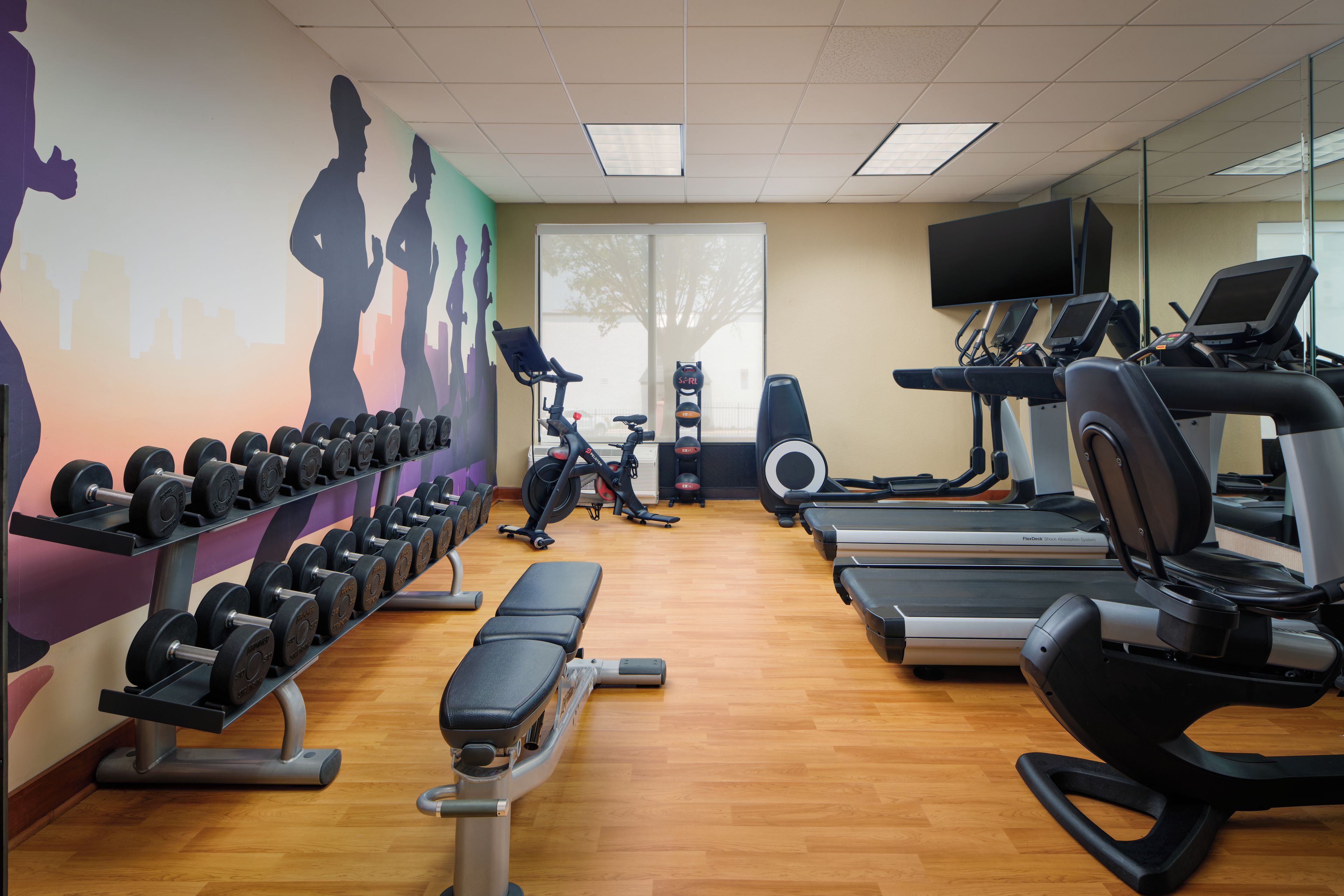 Un gimnasio con cintas de correr, mancuernas y equipo de ejercicio.