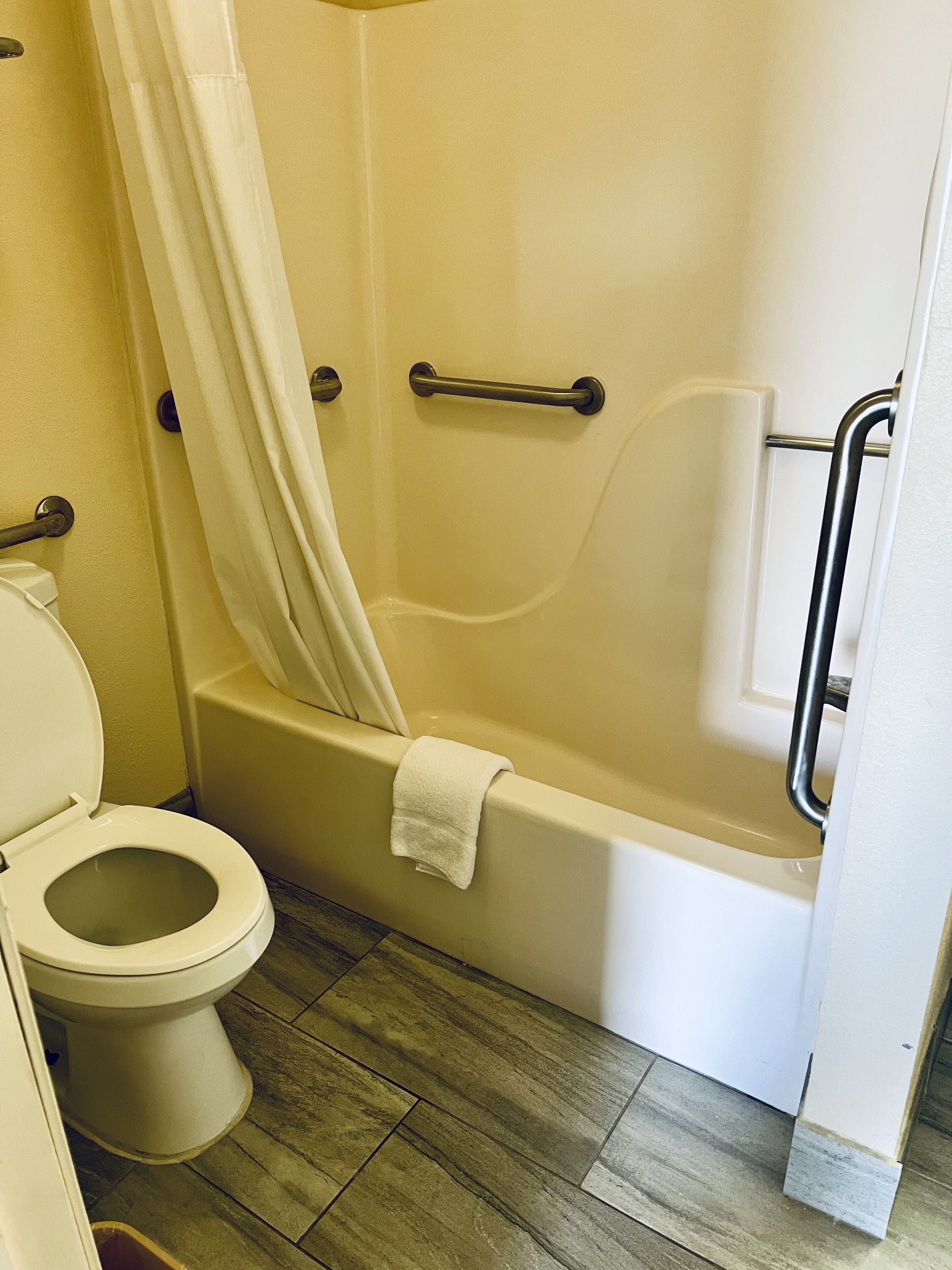 Ein Badezimmer mit Toilette, einer Badewanne mit Haltegriffen und einer Duschvorhang.