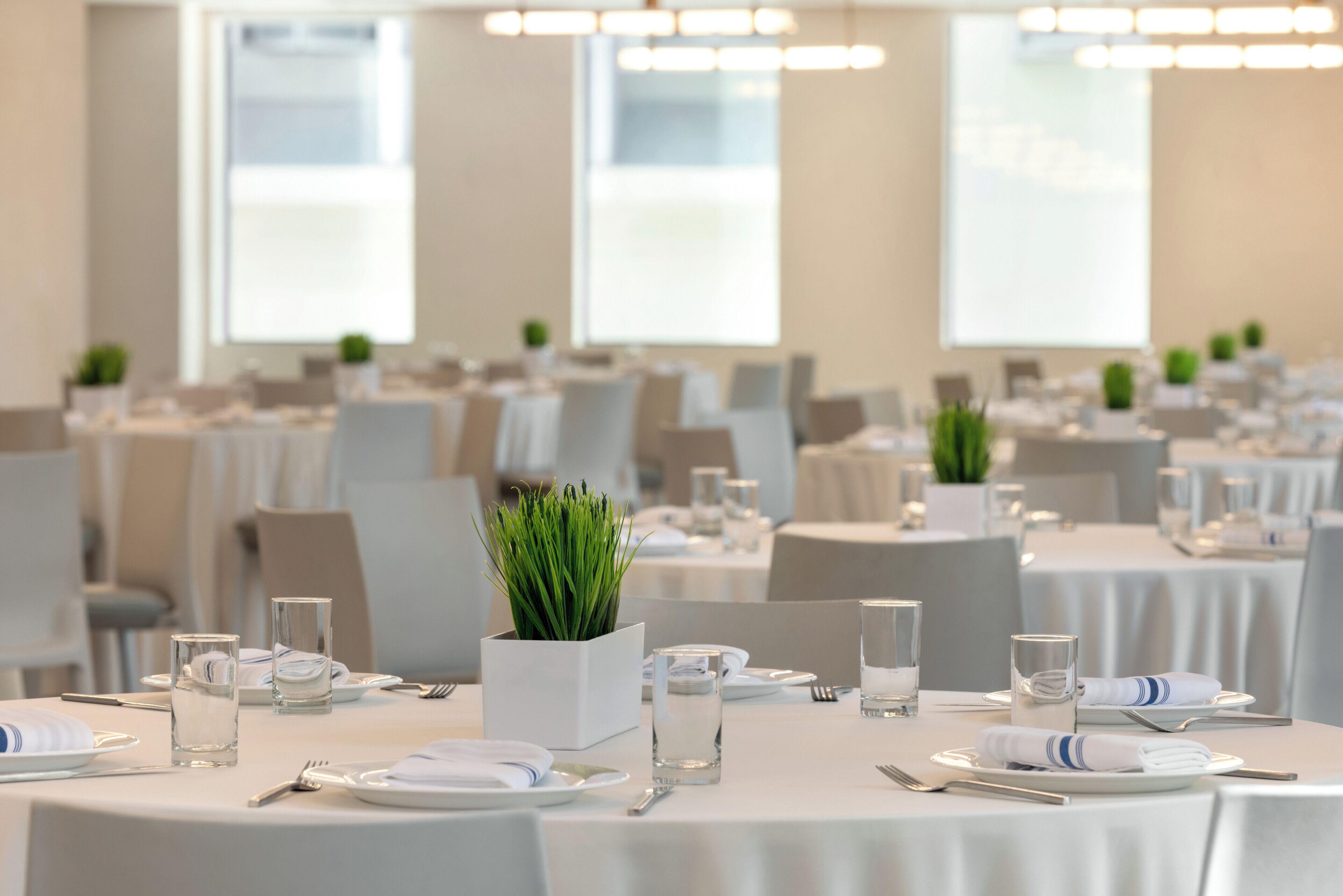 Een vergaderzaal met ronde tafels, ingericht voor een vergadering, voorzien van plaatskaarten, waterglazen en een potplant.