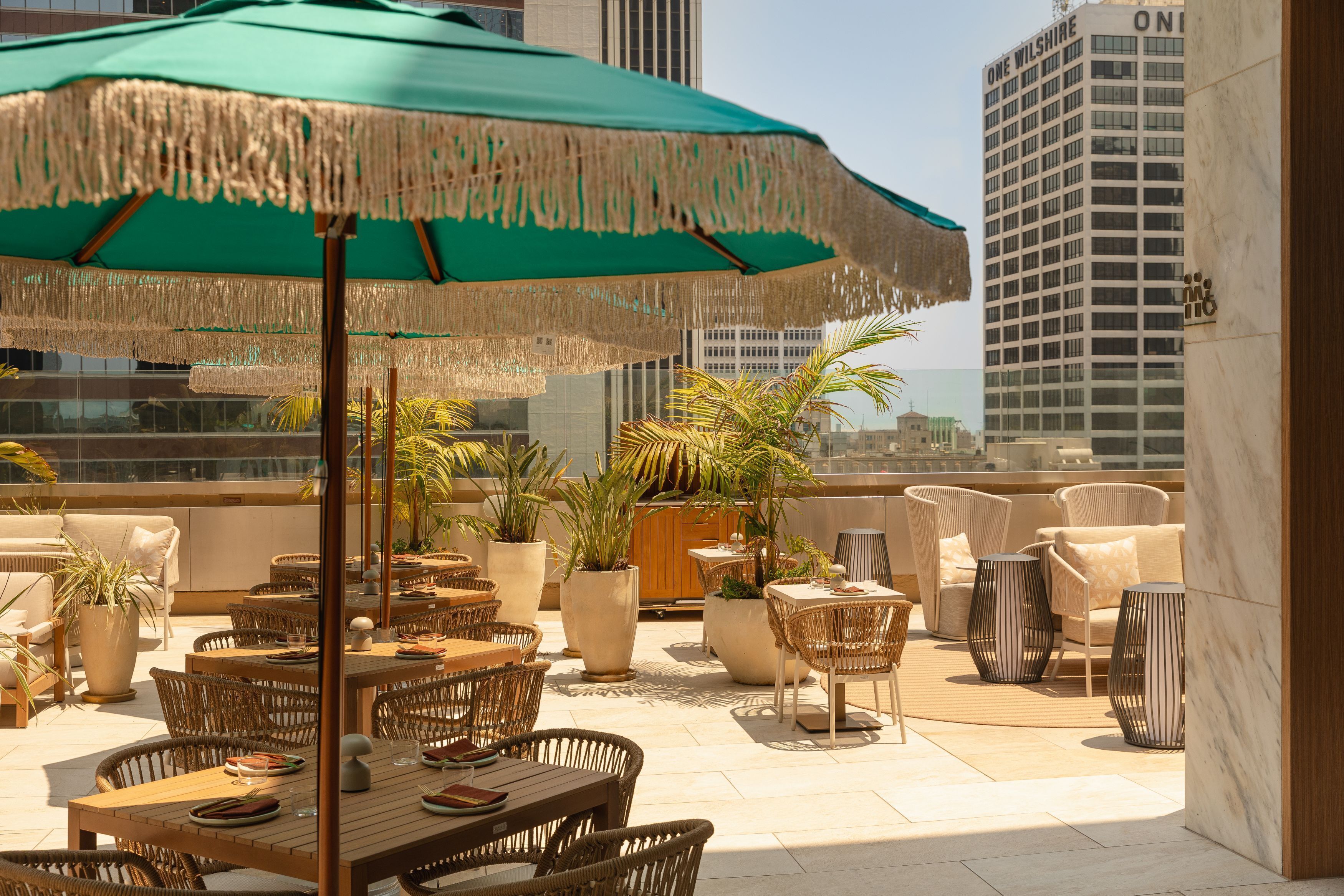 A rooftop terrace with outdoor seating, potted plants, and a view of a city skyline.