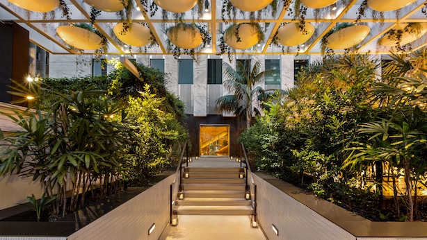 Una escalera de diseño moderno, rodeada de abundante vegetación y plantas.