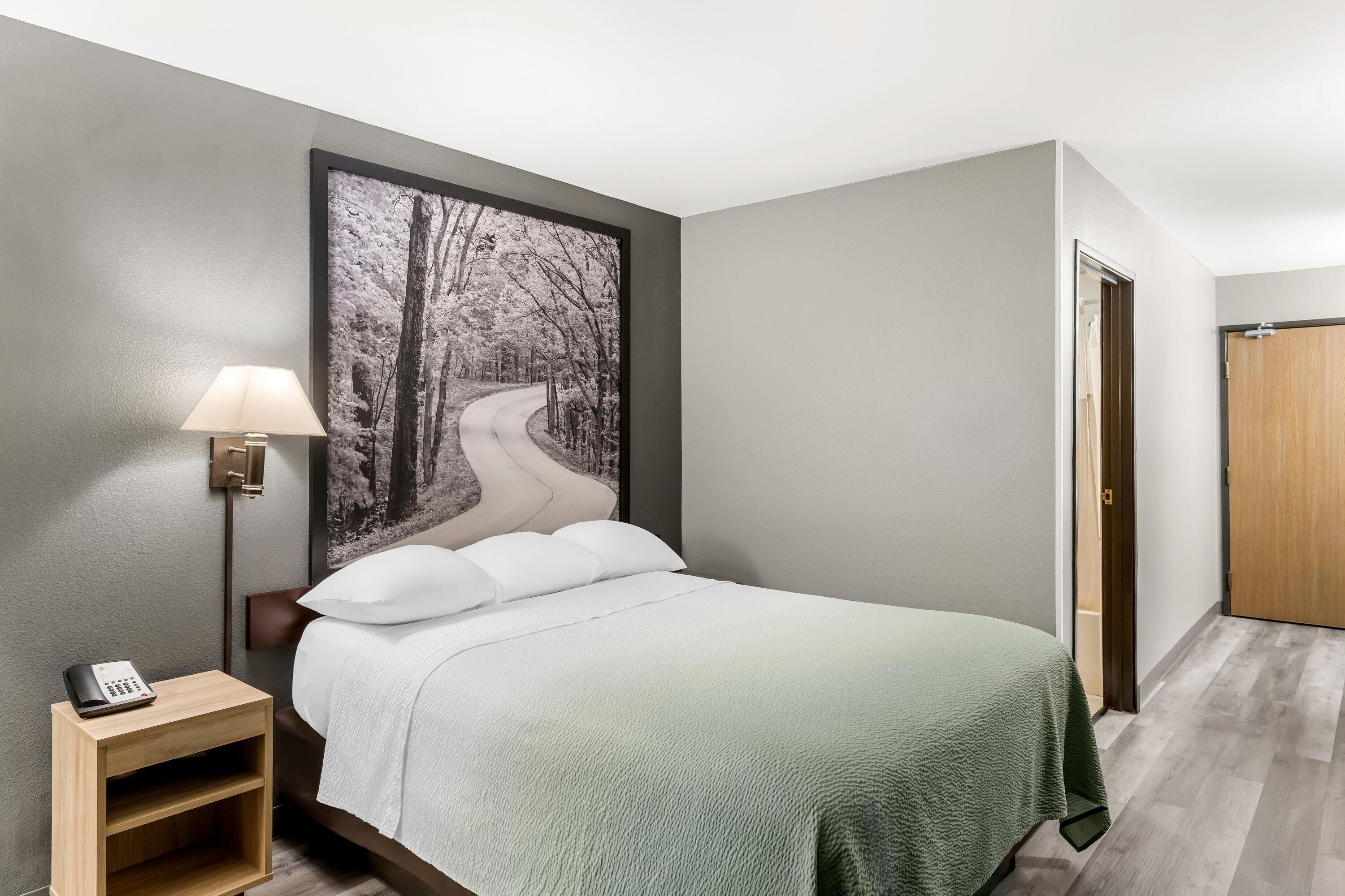 Una habitación de hotel con una cama, una mesita de noche, una lámpara, un cuadro de un camino boscoso y una puerta de madera.