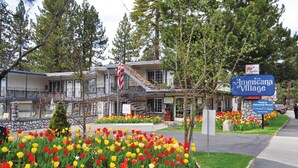 Un edifici amb un rètol que diu "Americana Village" i un banc de flors amb tulipes vermelles, grogues i taronges.