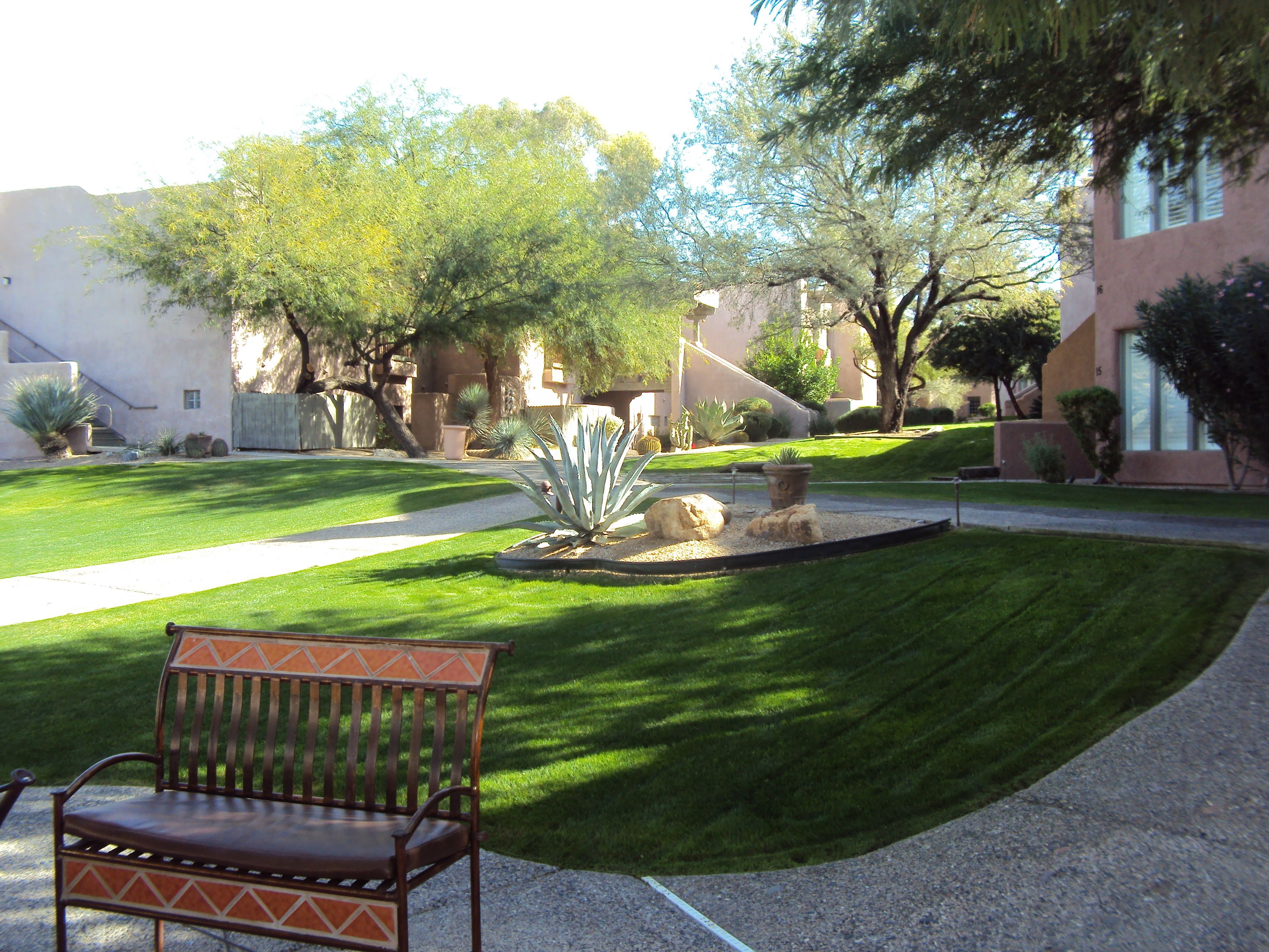 A well-maintained courtyard with a bench, a small garden with rocks and plants, and a building in the background.
