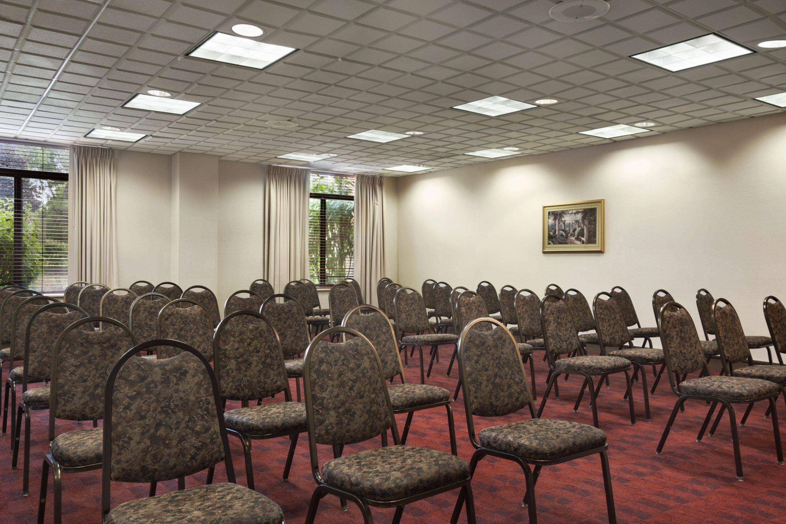 Un salón de conferencias con filas de sillas, una alfombra roja y un cuadro en la pared.