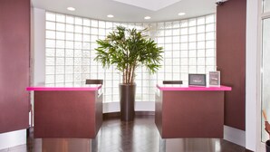 A reception area with two counters, a large potted plant, and a view through a window with a grid pattern. - Menlo Park Inn (Menlo Park)