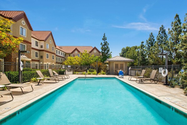 Outdoor pool, sun loungers