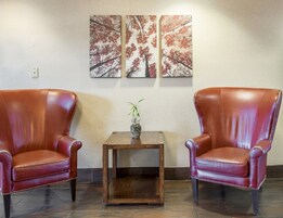 Two leather armchairs facing each other with a small wooden table between them, a vase with a plant on the table, and three framed pictures on the wall.