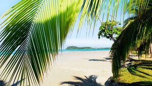 Una playa con palmeras y una vista despejada del océano.