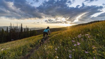 Une personne à vélo sur un chemin herbeux, avec des fleurs sauvages et des arbres en arrière-plan.