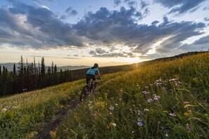 Bicycling