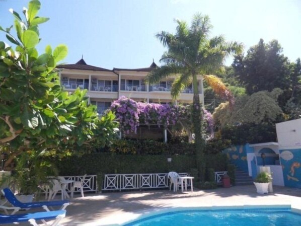Outdoor pool, pool umbrellas, sun loungers