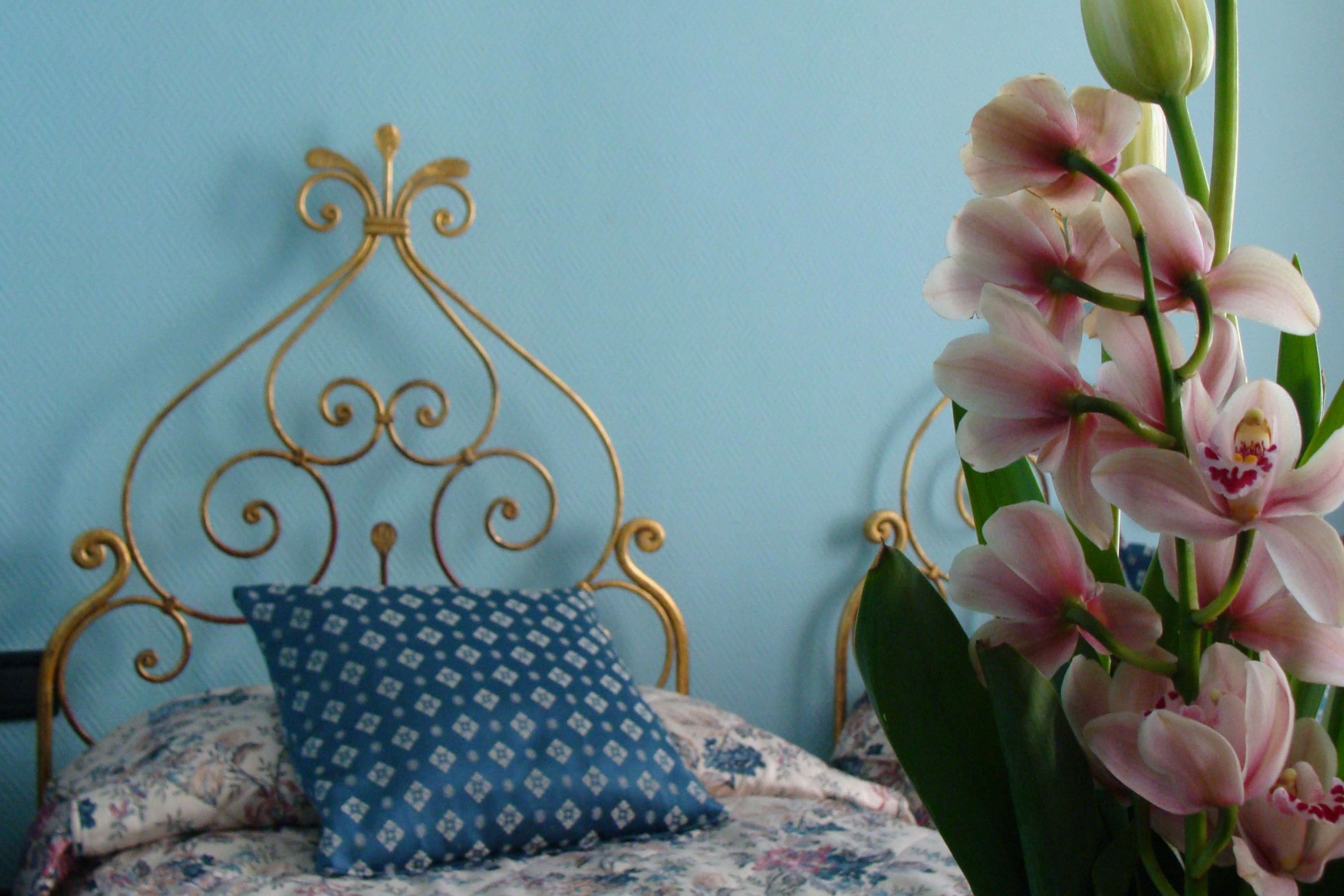 Foto - Soggiorno Michelangelo