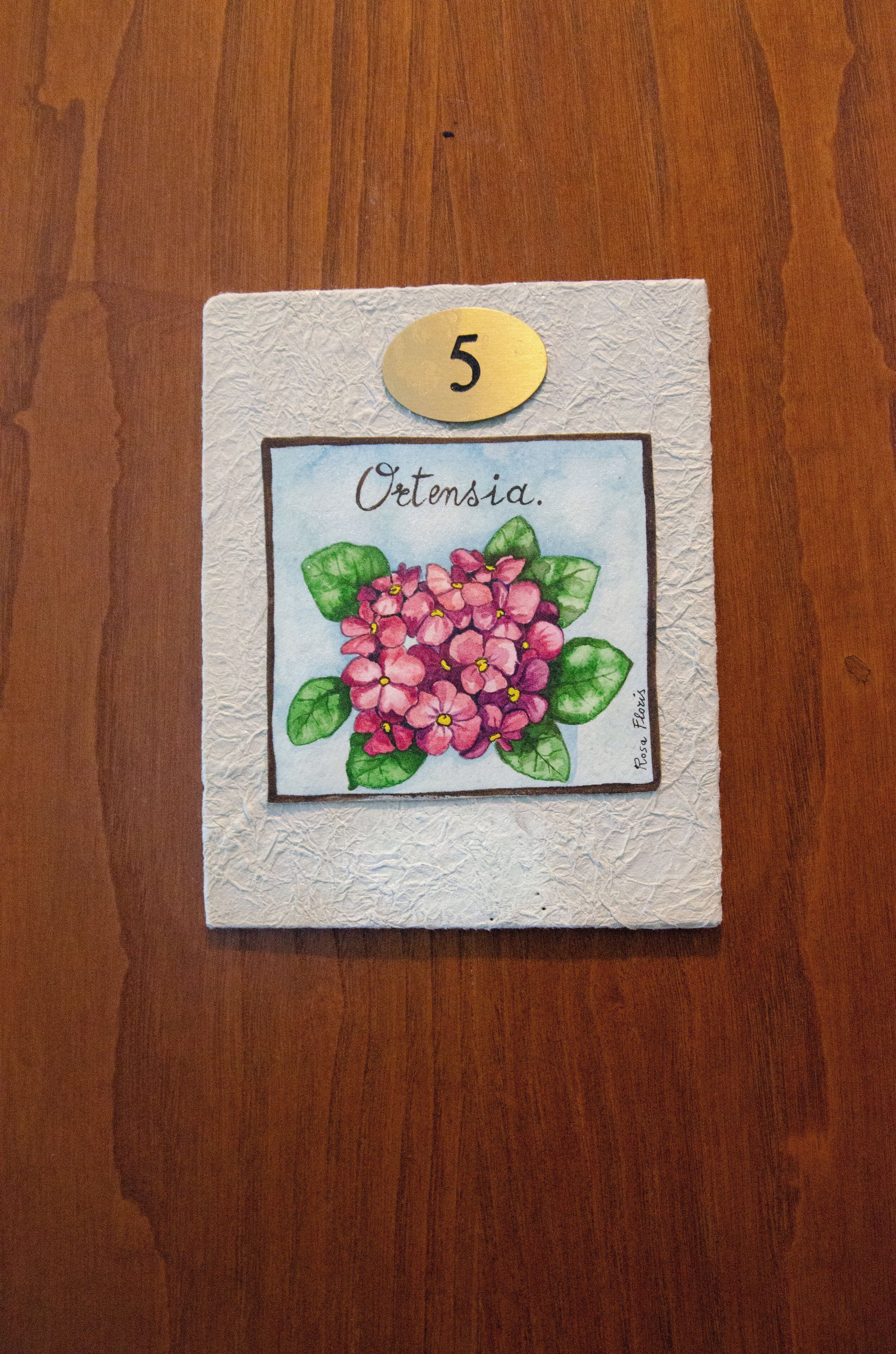 Foto - Soggiorno Michelangelo