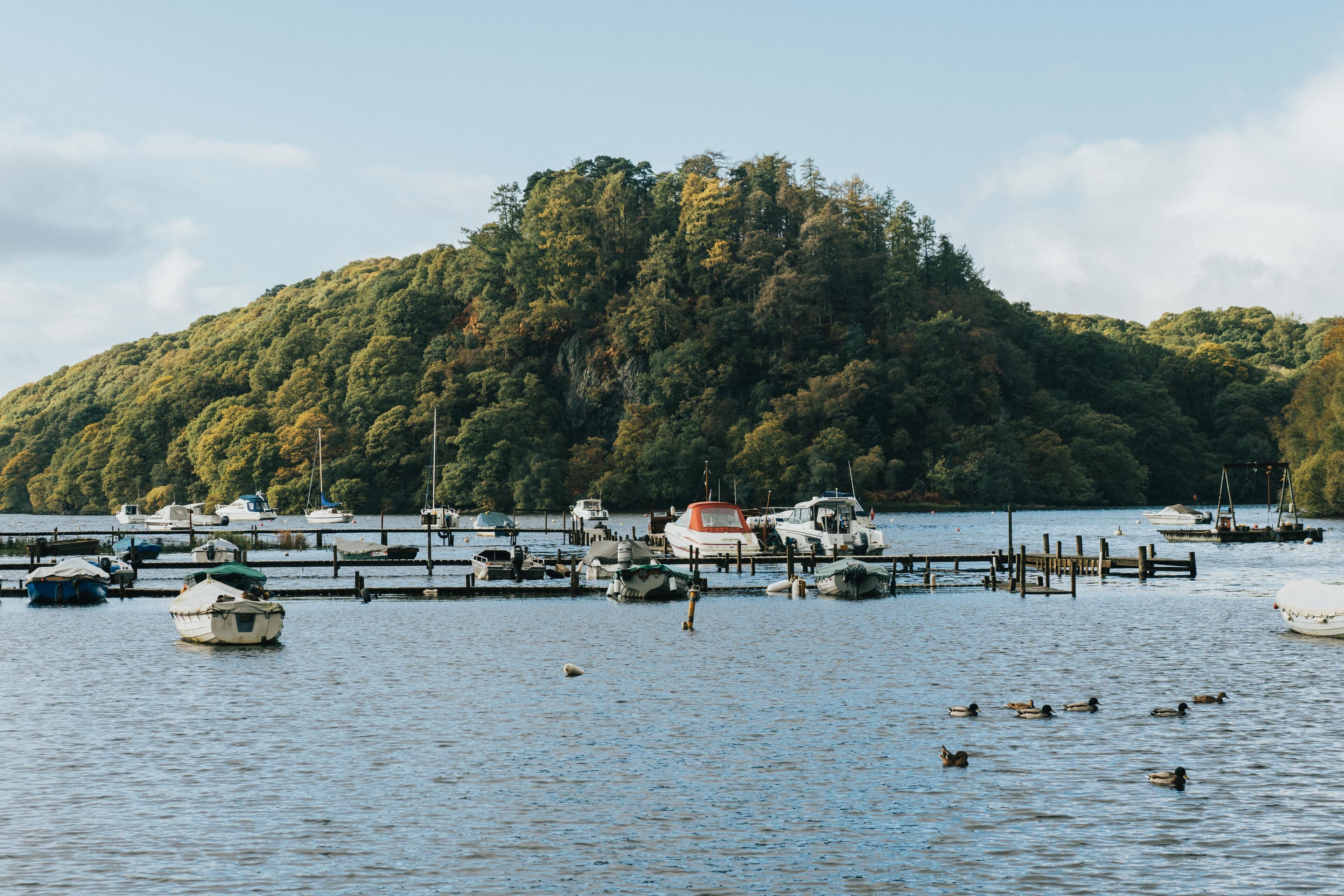 A marina with boats docked and a forested hill in the background.