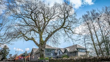 Un grand arbre se dresse devant un bâtiment, et une enseigne indique : « Oak Tree ».