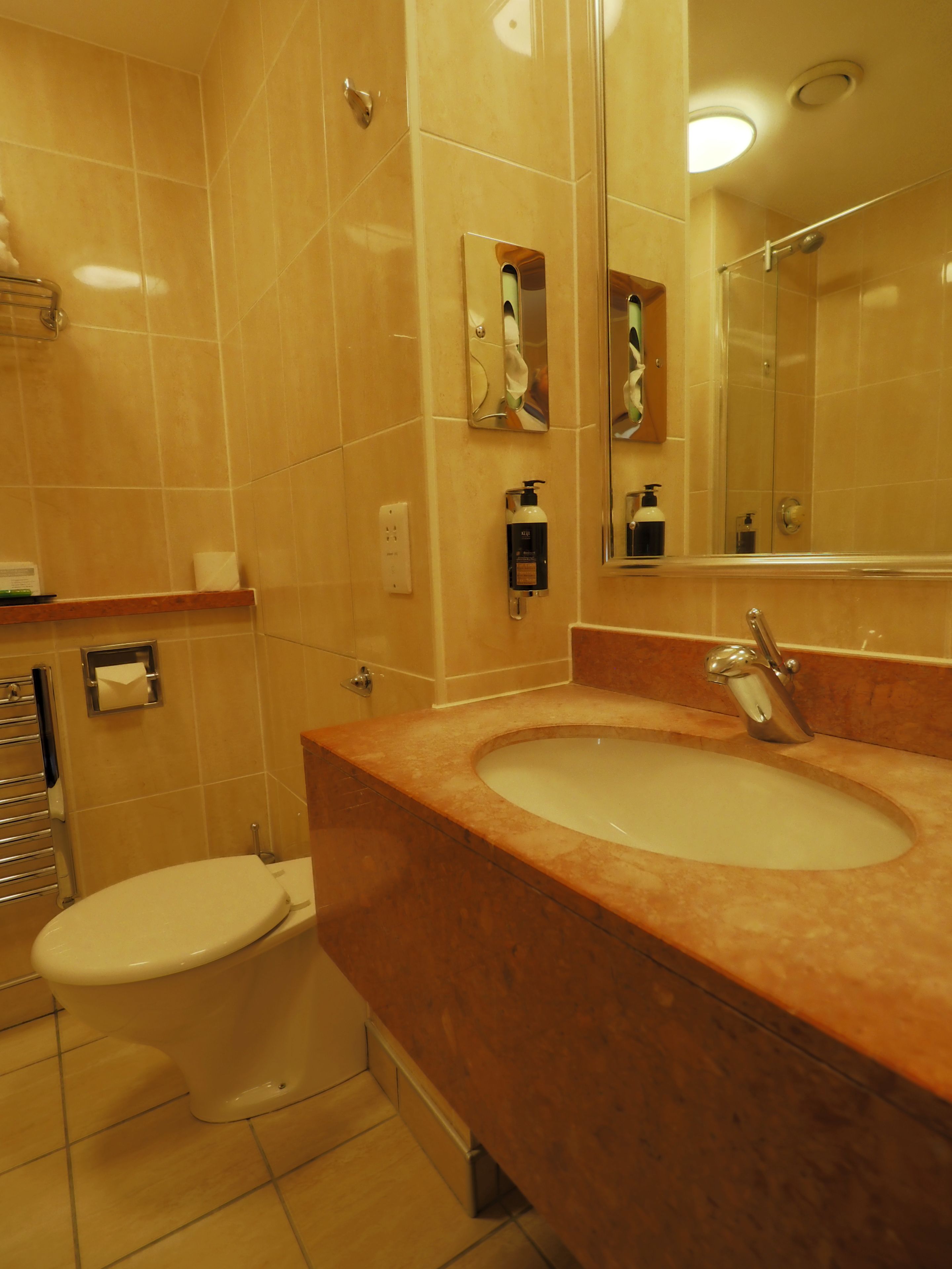 combined shower/bathtub, free toiletries, hair dryer, towels