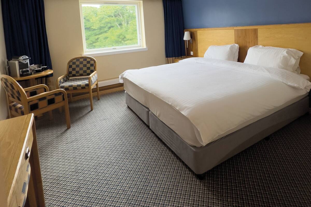 A hotel room with a large bed, a desk with a chair, a window with a view of greenery, and a blue wall.