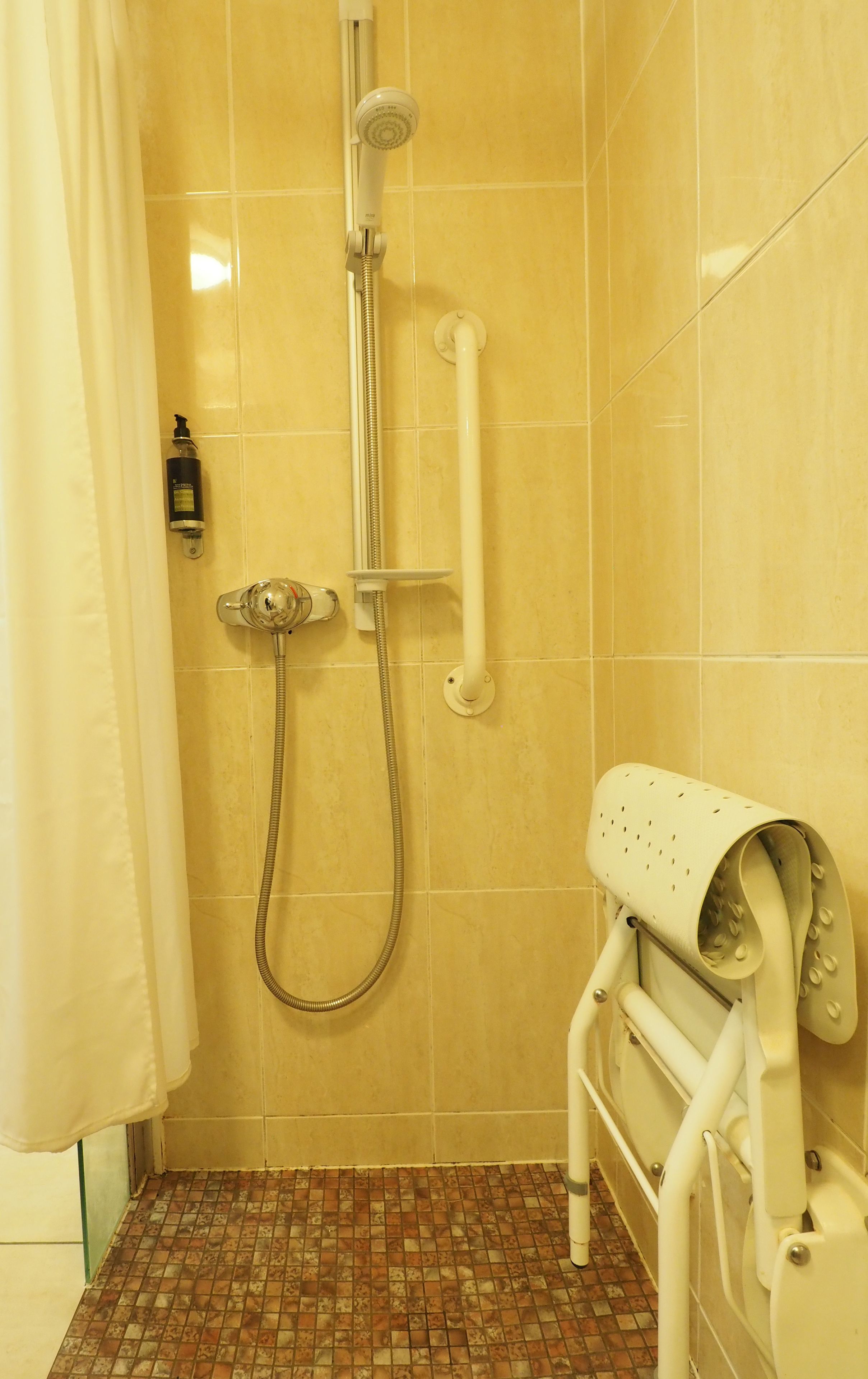 combined shower/bathtub, free toiletries, hair dryer, towels