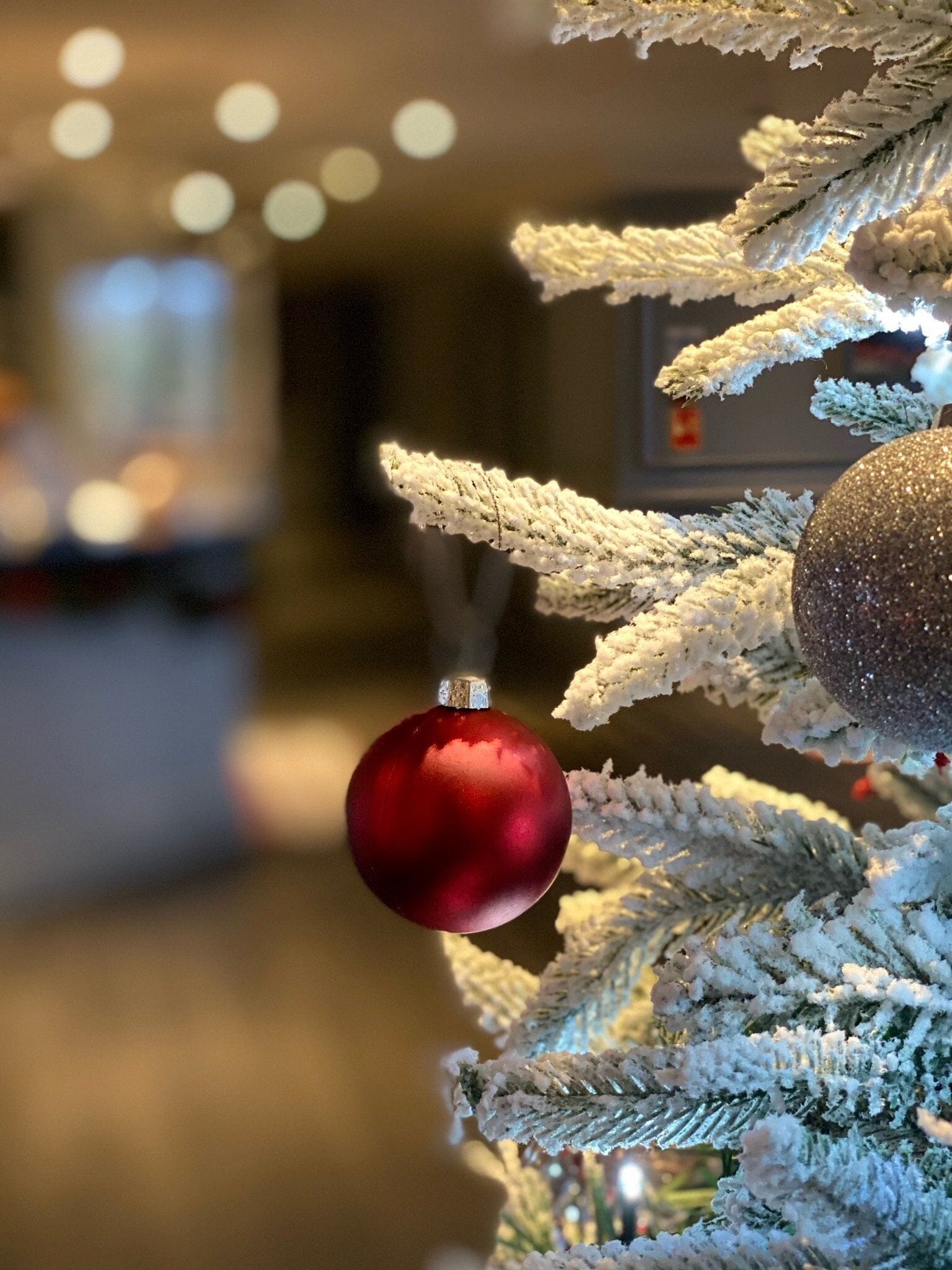 Un gros plan d’un sapin de Noël orné d’un décor rouge et d’un décor argenté.