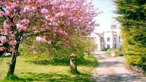 A pathway leading to a building with a garden and blooming trees. - Clanabogan Country House B&B (Omagh)