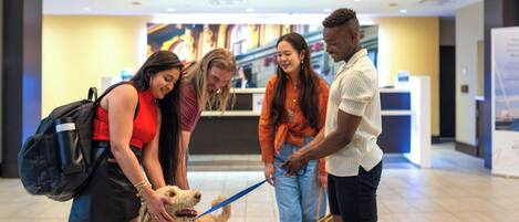 Un grupo de personas interactuando con un perro en un espacio interior moderno, con un mostrador de recepción y una escalera a la vista.