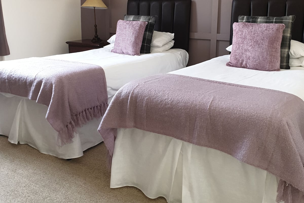 Habitación estándar con 2 camas individuales | Ropa de cama hipoalergénica y tabla de planchar con plancha