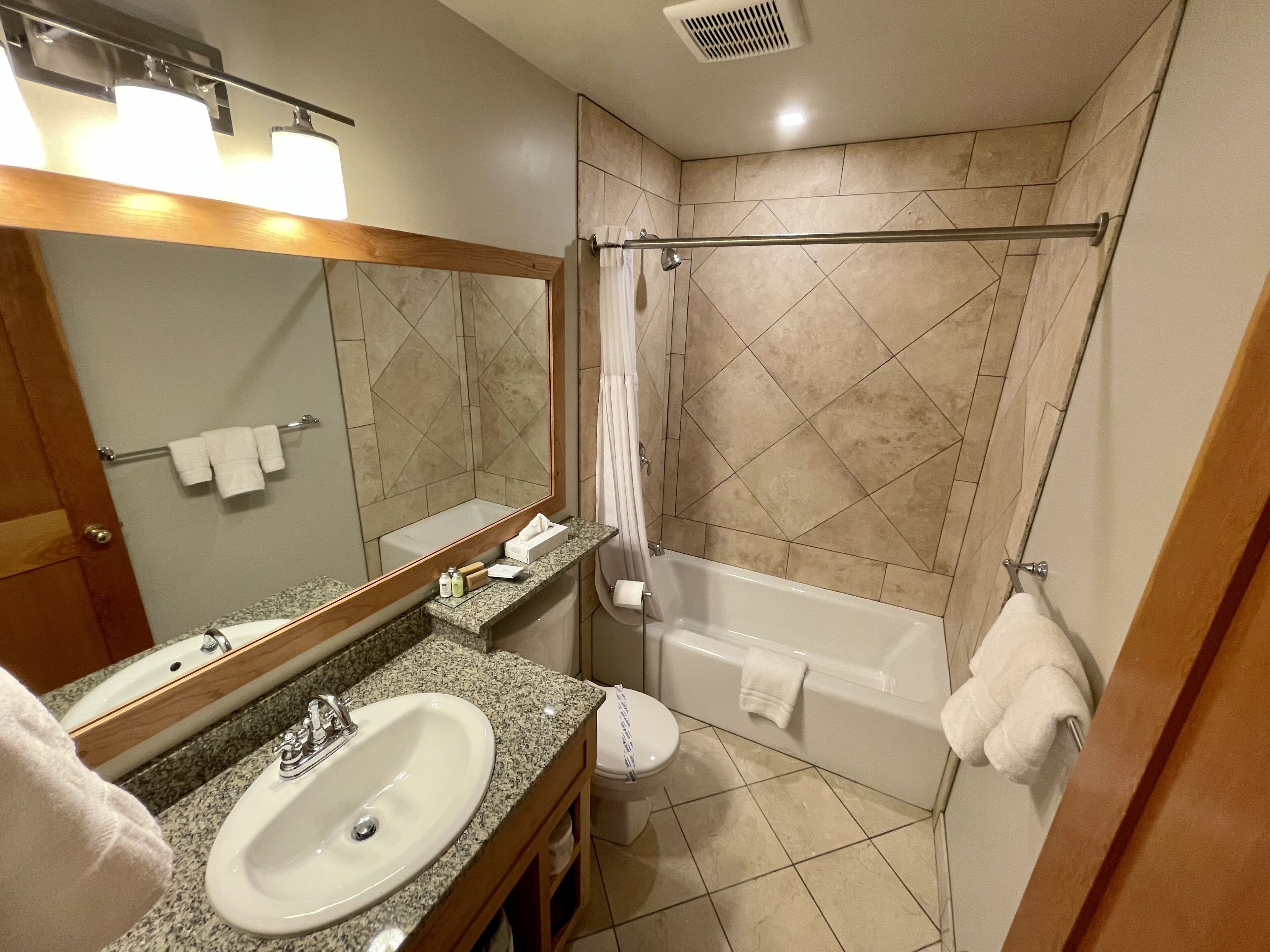combined shower/bathtub, free toiletries, hair dryer, towels
