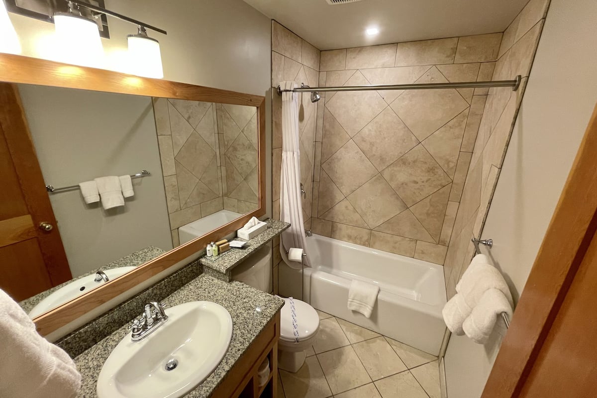 combined shower/bathtub, free toiletries, hair dryer, towels