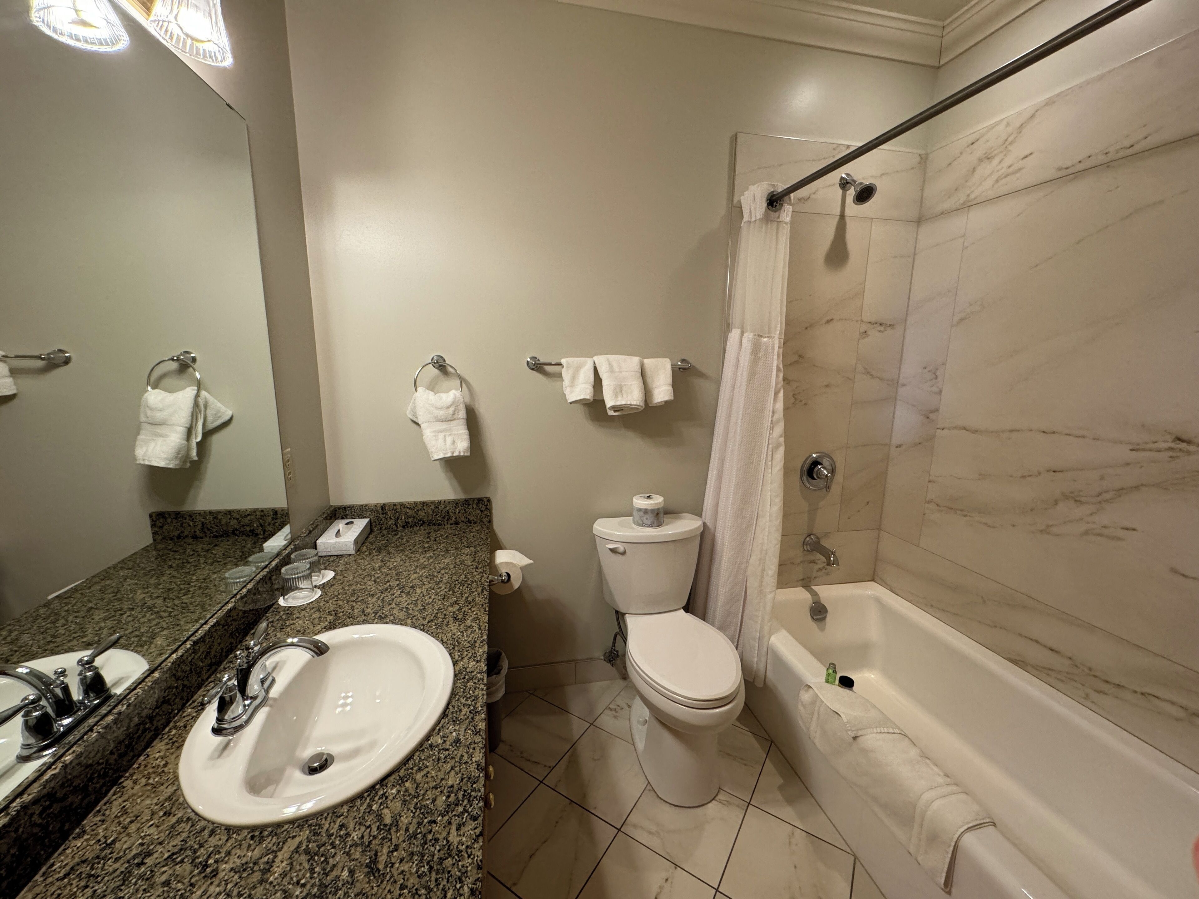 combined shower/bathtub, free toiletries, hair dryer, towels