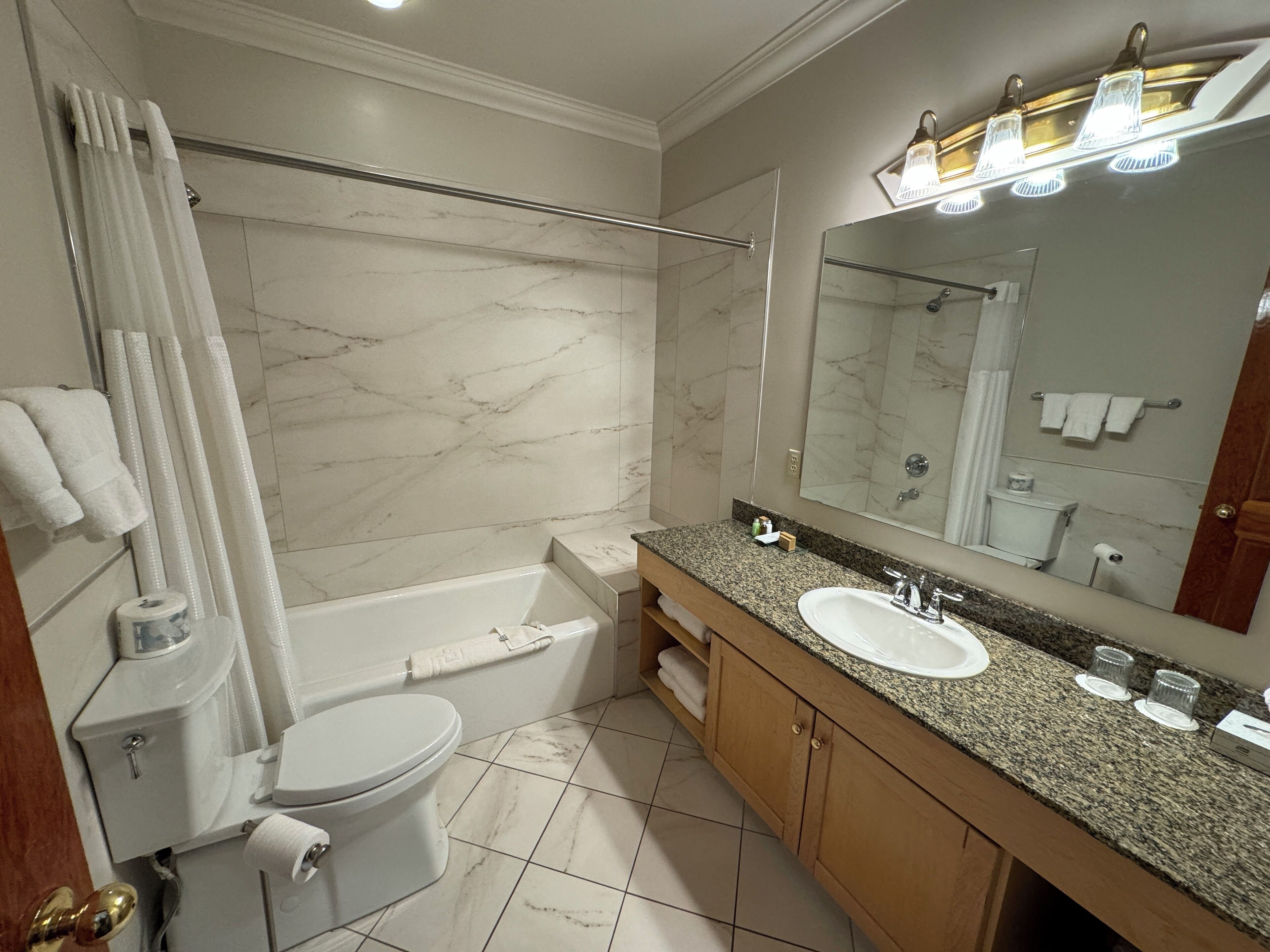 combined shower/bathtub, free toiletries, hair dryer, towels