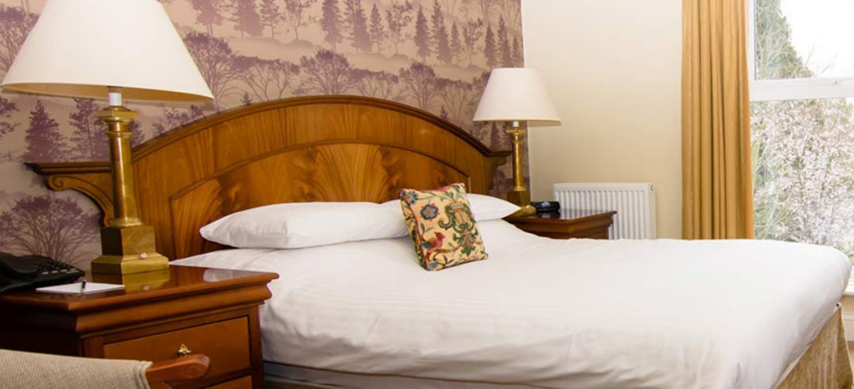 executive double room | iron/ironing board, free wifi, bed sheets