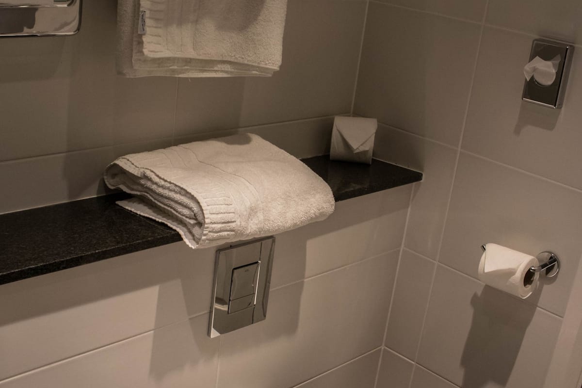 combined shower/bathtub, hair dryer, towels