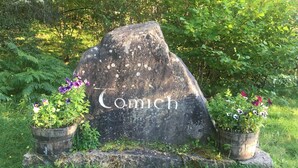 A large rock with the name 'Comich' carved on it, surrounded by greenery and potted plants. - The Tomich Hotel (Beauly)