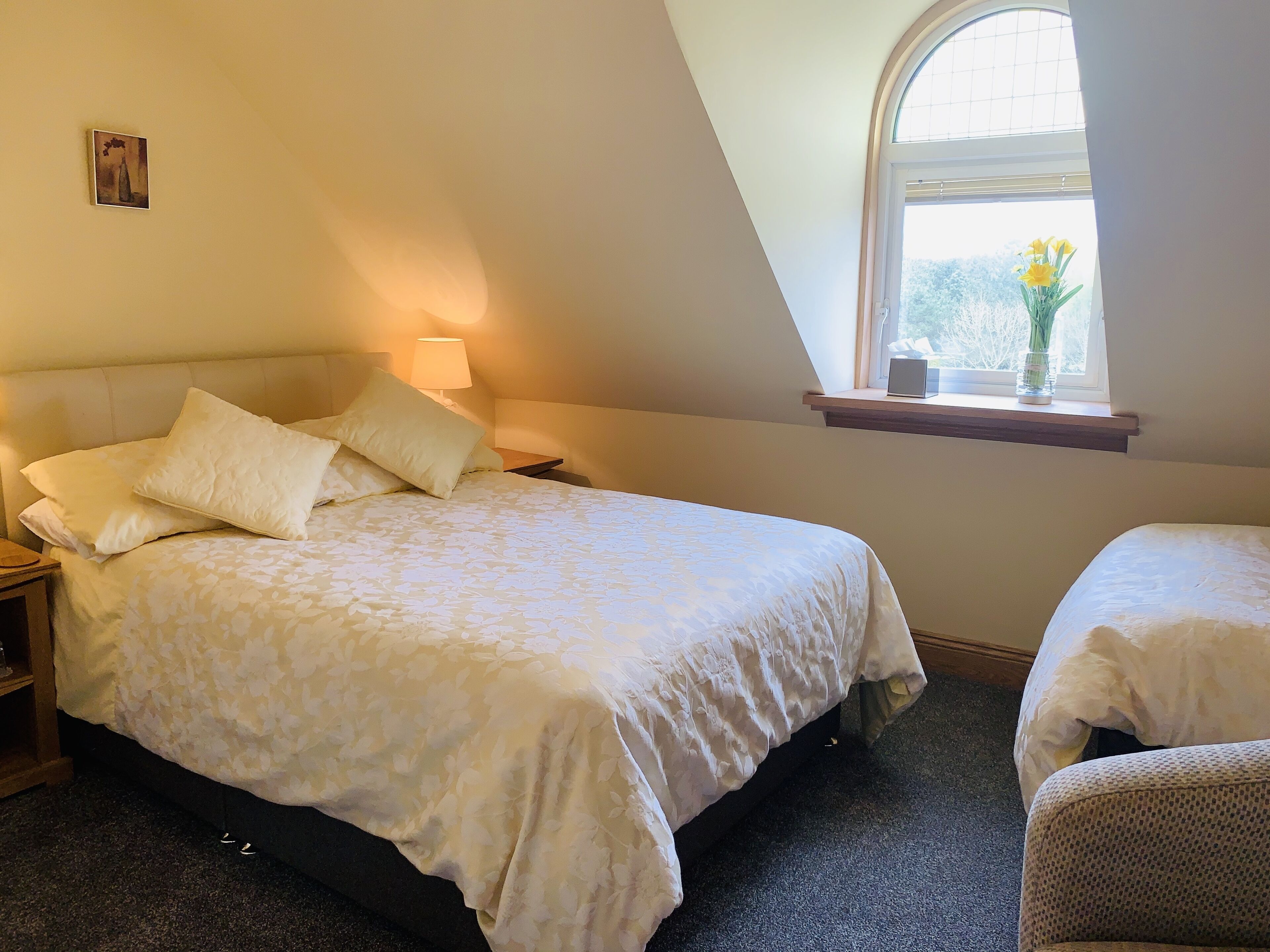 Free WiFi, bed sheets