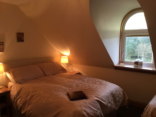 Suite familiar, baño privado, vistas al lago | Vistas desde la habitación