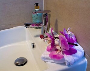 Douche, serviettes fournies