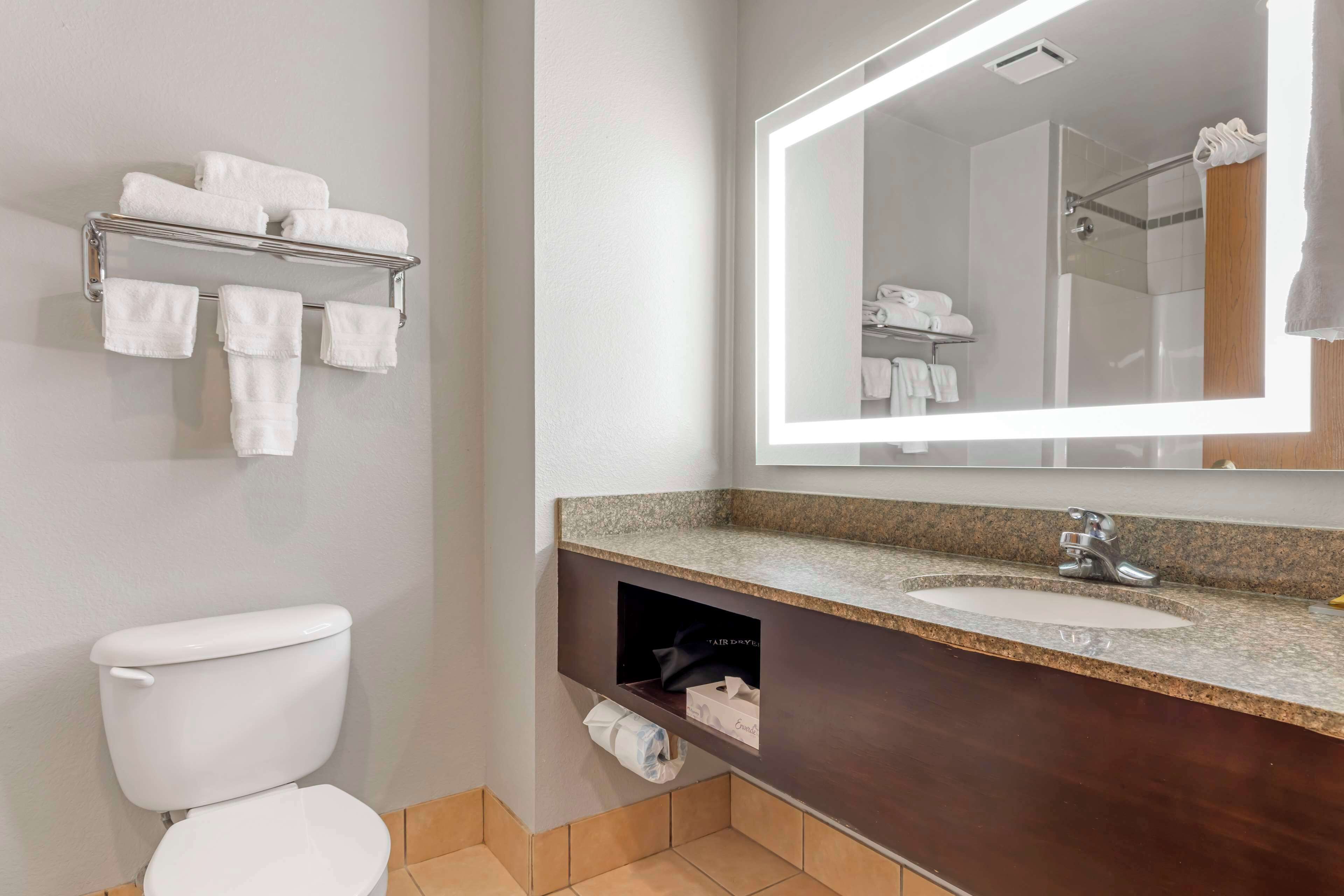 combined shower/bathtub, free toiletries, hair dryer, towels