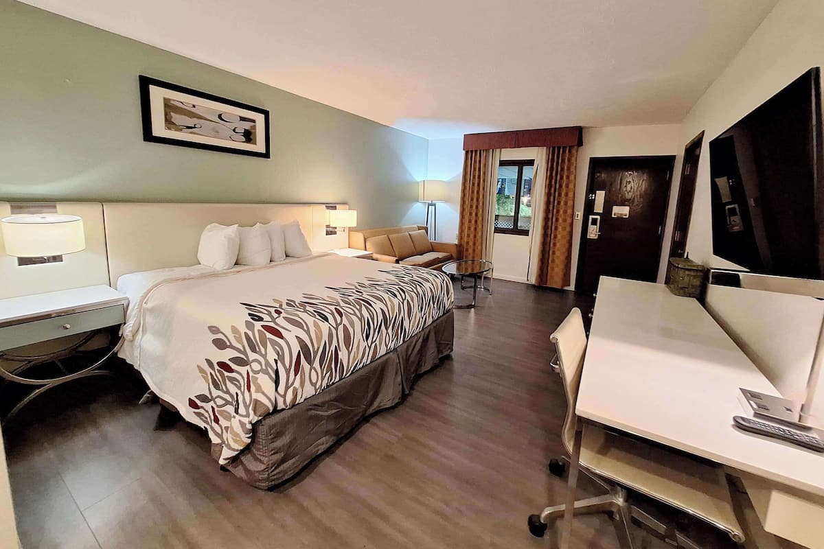 Une chambre d’hôtel équipée d’un lit, d’un bureau, d’une chaise et d’un téléviseur.