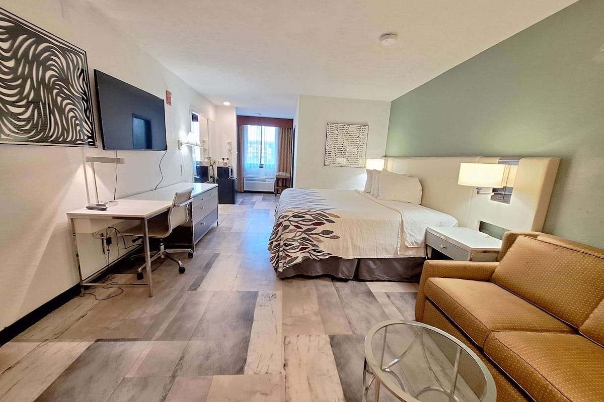 Une chambre d’hôtel avec un lit, un bureau, une chaise, un canapé et un téléviseur.